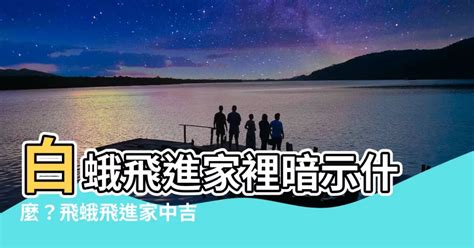 飛蛾飛到家裡|習俗百科／家中出現大量飛蛾是凶兆？暗示「兩事」將。